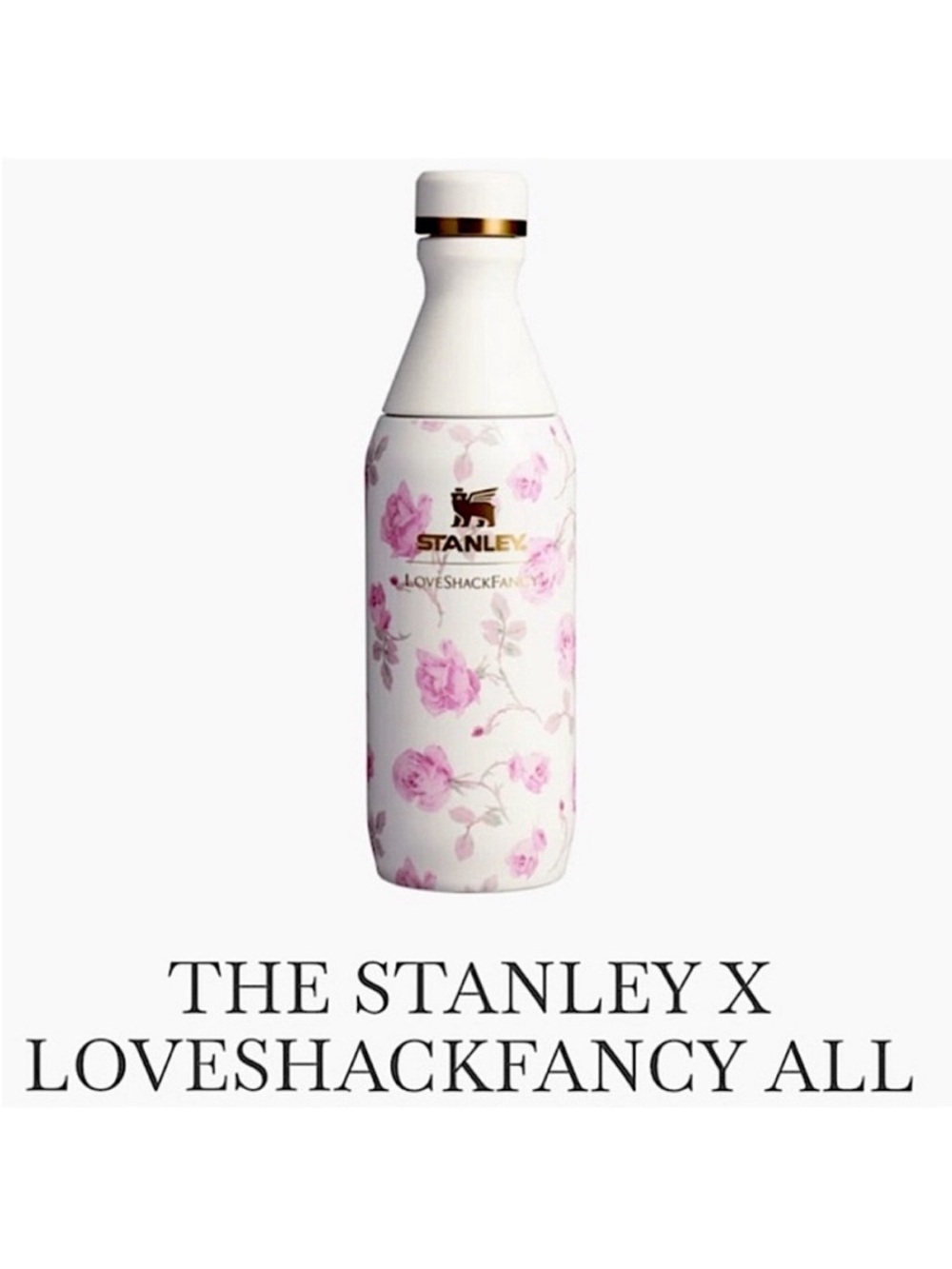 NWT The STANLEY X Love Shack Fancy All Day Slim Bottle 20 oz Ribbon Rosa